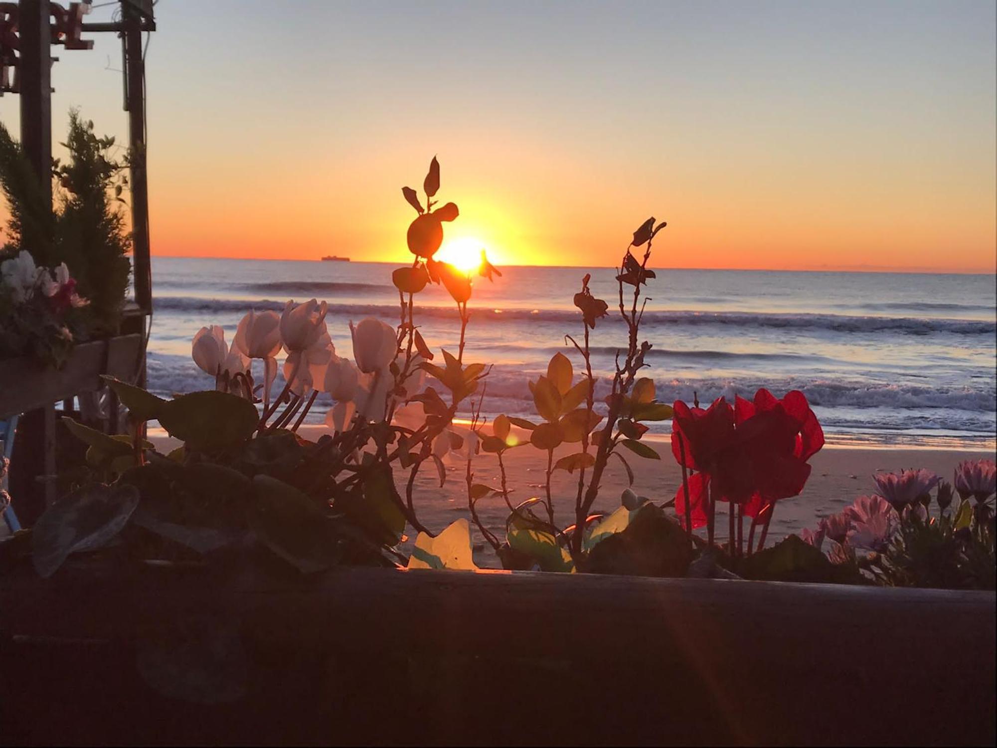 Appartamento Fronte Mare Con Terrazzo Zio ألاسيو المظهر الخارجي الصورة